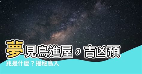 夢見鳥入屋|夢見小鳥進屋，夢到小鳥進屋是什麽意思？